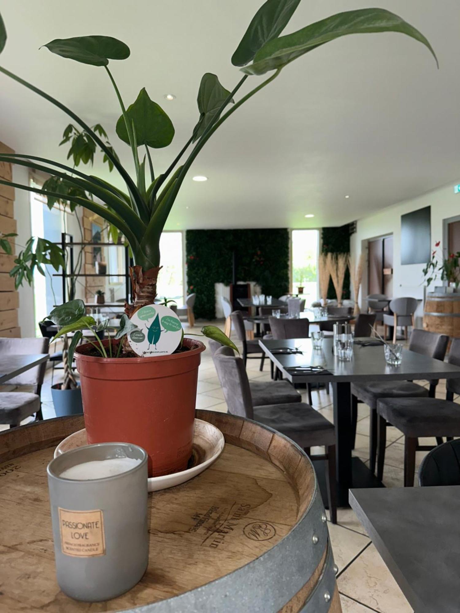 Logis Hotel Volcan Sancy Nébouzat Zewnętrze zdjęcie